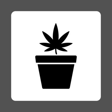 Uyuşturucu Pot yuvarlak kare düğme