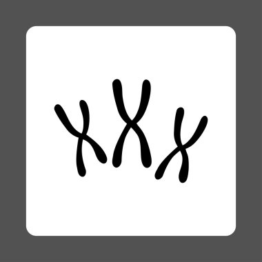 Kromozomlar Yuvarlak Kare Düğmesi