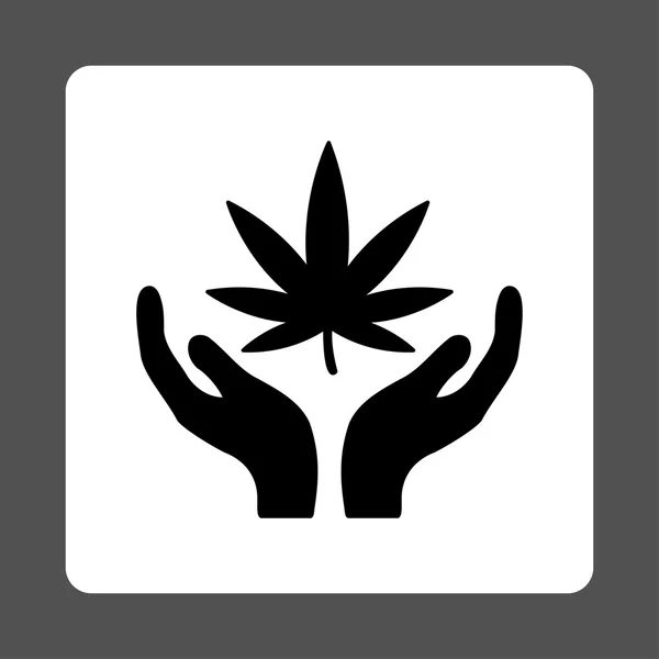 Marihuana vård avrundat fyrkantig knapp — Stock vektor