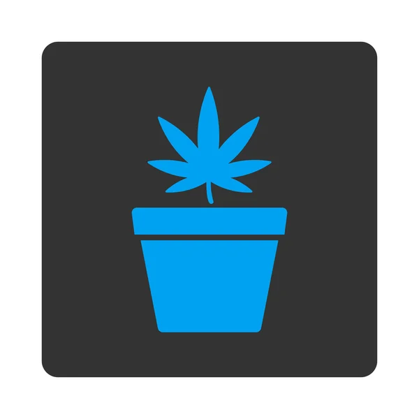 Marijuana Pot avrundat fyrkantig knapp — Stock vektor
