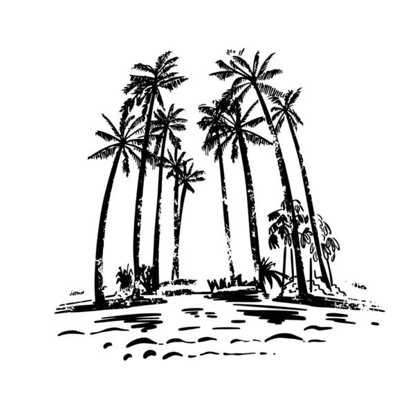Palmy a tropické rostliny. Pláž, dovolená v exotických zemích. Ruční výroba, vektorová ilustrace. — Stockový vektor