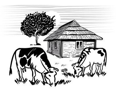 İnekler otlar, köyün yakınındaki çayırlarda ot yerler. Serbest çizim siyah beyaz taslak şeklinde. Kırsaldaki ev ve elma ağacının vektör illüstrasyonu.