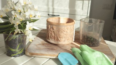 Blooming flowers in terracotta clay pots and gardening tools on table. Repotting. Nature and plant care at home. Space planning and interior design. High quality photo