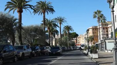 Yol, tatil köyünün caddesindeki palmiye ağaçları. İtalya 'nın Liguria kıyısındaki doğa ve geleneksel binalar. Noel 'den önceki güneşli sonbahar gününde ulaşım, turizm ve dinlenme. Yüksek kalite 4k