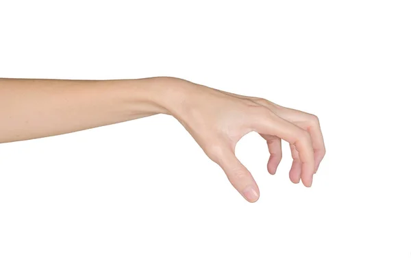 Крупный План Женской Руки Изолированный Белом Фоне — стоковое фото