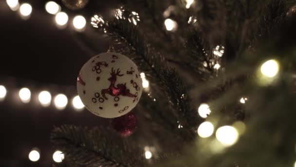 木漏れ日のクリスマスボール Bokeh Lights Background — ストック動画