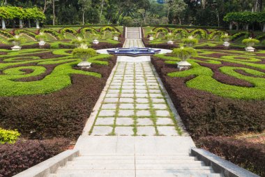 Kırpılan çitleri ile düzenli bir bahçe parçası