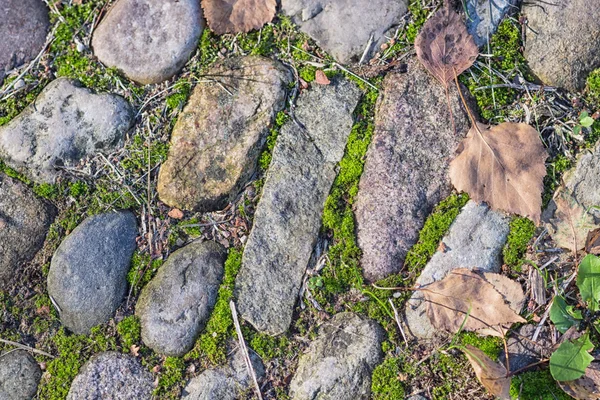 Texture d'un rocher avec mousse — Photo