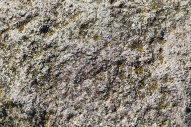 bir kaya moss ile doku 