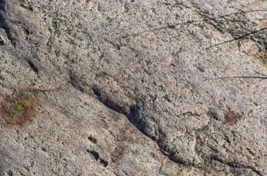 bir kaya moss ile doku 