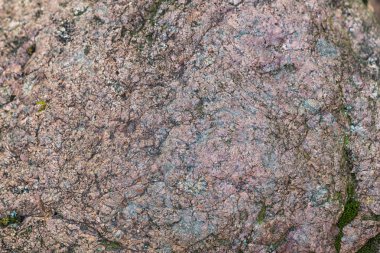 bir kaya moss ile doku 