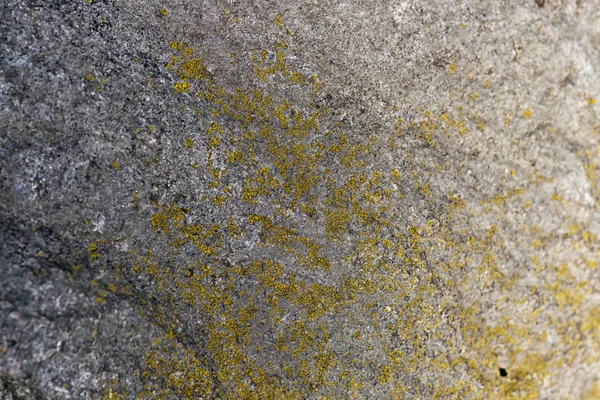 Текстура валуна з мохом — стокове фото