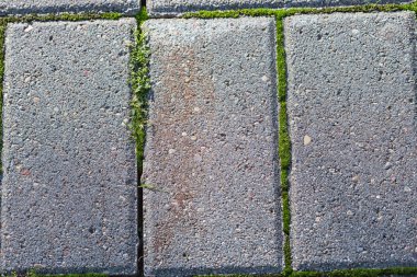 bir kaya moss ile doku 