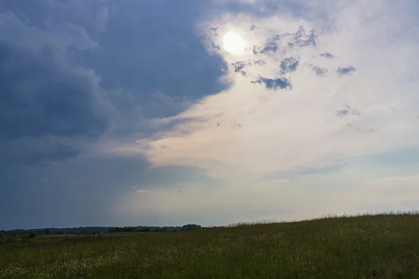 Paesaggio rurale con gruppo di alberi — Foto Stock