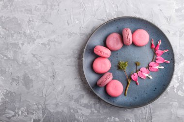 Mor ve pembe badem kurabiyesi ya da mavi seramik tabakta kanayan kalp çiçekli gri beton arka planda badem kurabiyesi. Düz konum, üst görünüm, kopyalama alanı.