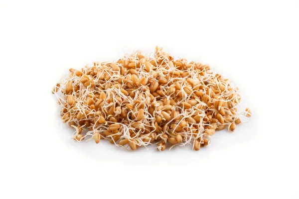 Haufen Gekeimter Weizen Isoliert Auf Weißem Hintergrund Seitenansicht Nahaufnahme — Stockfoto
