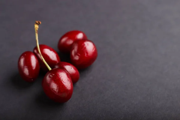 Ugly weird red sweet cherry on black background. side view, close up, copy space, macro, trendy.