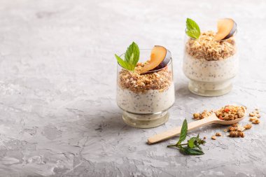 Erikli yoğurt, bardakta chia tohumu ve granola ve gri beton arka planda ahşap kaşık. Yan görünüm, boşluk kopyala.