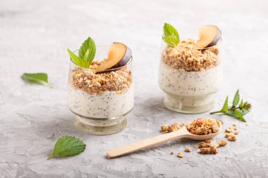 Erikli yoğurt, bardakta chia tohumu ve granola ve gri beton arka planda ahşap kaşık. Yan görünüm, kapat.