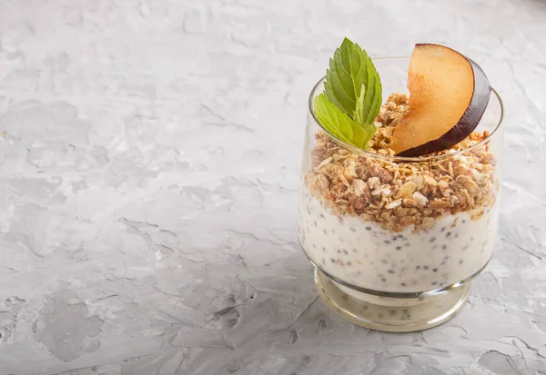 Yoghurt with plum, chia seeds and granola in a glass on gray concrete background. side view, close up, copy space.