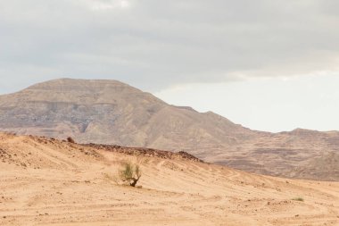 Çöl, kızıl dağlar, kayalar ve bulutlu gökyüzü. Mısır, renk kanyonu, Sina Yarımadası, Dahab.
