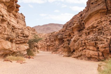 Kırmızı taşlı renkli bir kanyon. Mısır, çöl, Sina Yarımadası, Nuweiba, Dahab.