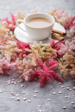 Pembe ve kırmızı astilbe çiçekleri ve gri bir arka planda bir fincan kahve. Morninig, bahar, moda kompozisyonu. Yan görünüm, yakın görünüm, seçici odak.