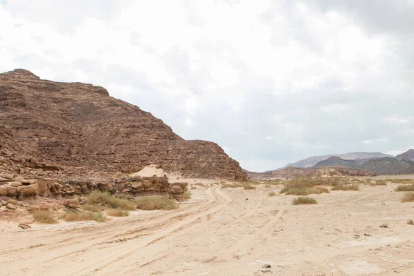 Wüste Rote Berge Felsen Und Bewölkter Himmel Ägypten Sinai Halbinsel — Stockfoto