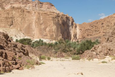 Çölde vaha, kızıl dağlar, kayalar ve mavi gökyüzü. Mısır, Sina Yarımadası, Dahab.
