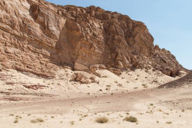 Sarı taşlı beyaz kanyon, güneşli bir gün. Mısır, çöl, Sina Yarımadası, Nuweiba, Dahab.