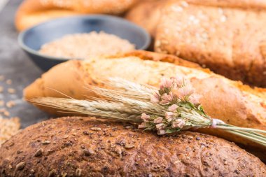 Farklı türde taze ekmek ve siyah beton arka planda tanecikleri olan mavi tabak. Yan görünüm, seçici odak, kapat.