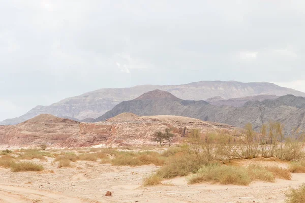 Wüste Rote Berge Felsen Und Bewölkter Himmel Ägypten Sinai Halbinsel — Stockfoto