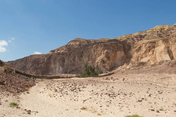 Weiße Schlucht Mit Gelben Felsen Sonniger Tag Ägypten Wüste Sinai — Stockfoto