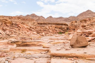 Kırmızı taşlı renkli bir kanyon. Mısır, çöl, Sina Yarımadası, Nuweiba, Dahab.