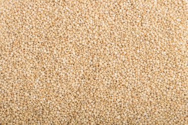 Çiğ beyaz kinoanın dokusu. Üst manzara, düz yatak, yakın çekim, makro. Doğal arkaplan.