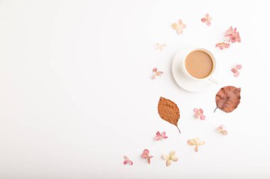 Kahverengi kayın ağacı yaprakları, ortanca çiçekleri ve bir fincan kahveli kompozisyon. Beyaz arka planda bir model. Boşluk, düzlük, üst görünüm, durgun yaşam, kopyalama alanı.