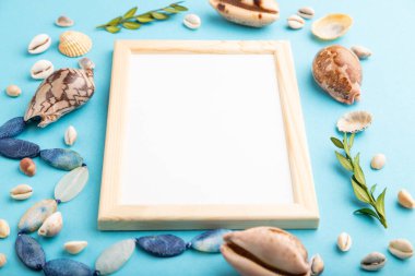 Ahşap çerçeveli, deniz kabuklu, yeşil kutulu kompozisyon. Mavi pastel arka planda bir model. Boş, yan görüş, natürmort yaşam, kopyalama alanı. seyahat kavramı.