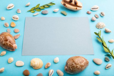 Gri kağıt çarşaflı, deniz kabuklu, yeşil kutulu kompozisyon. Mavi pastel arka planda bir model. Boş, yan görüş, natürmort yaşam, kopyalama alanı. seyahat kavramı.