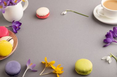 Gri pastel arka planda bahar kardelenli kır çiçekleri ve rengarenk badem kurabiyeleriyle bir model. Boş, kartvizit, yan görüş, fotokopi alanı, natürmort hayat. bahar konsepti.