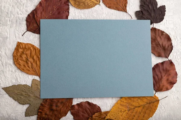 Blaue Papier Visitenkarte Mit Gelben Und Braunen Herbstblättern Attrappe Auf — Stockfoto