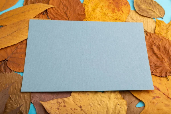 Komposition Mit Gelben Und Braunen Herbstblättern Und Blauer Papierattrappe Auf — Stockfoto