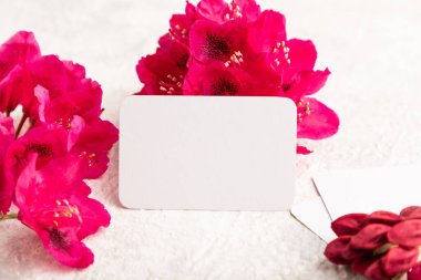 Üzerinde mor açelya çiçekleri olan gri beton kaplama beyaz kartvizit. Yan görünüm, kopyalama alanı, modelleme, şablon, bahar, yaz minimalizmi kavramı.