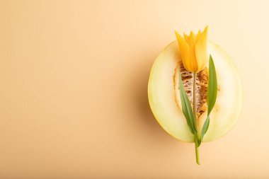 Turuncu pastel arka planda dilimlenmiş sarı kavun ve lale çiçeği. Üst görünüm, düz görünüm, kopyalama alanı. hasat, kadın sağlığı, vegan gıda, konsept, minimalizm.