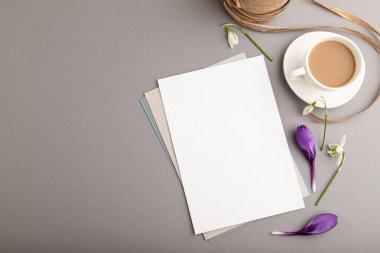 Kar taneleri, galanthus çiçekleri ve gri arka planda bir fincan kahveyle beyaz kâğıt maketi. Boş, kartvizit, üst manzara, düz yatak, fotokopi alanı, natürmort hayat. bahar konsepti.