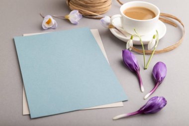 Baharda kar taneleri, galanthus çiçekleri ve gri arka planda bir fincan kahveyle mavi kağıt maketi. Boş, kartvizit, yan görüş, fotokopi alanı, natürmort hayat. bahar konsepti.
