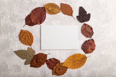 Sarı ve kahverengi sonbahar yaprakları ve beyaz kartvizitli çelenk dairesi kompozisyonu, gri beton arka planda yuvarlak çerçeve modeli. Boşluk, düzlük, üst görünüm, durgun yaşam, kopyalama alanı.