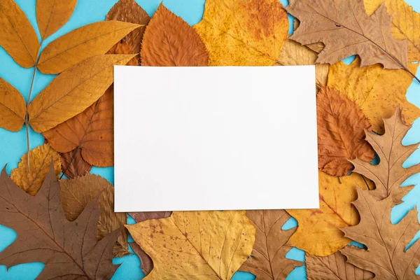 Komposition Mit Gelben Und Braunen Herbstblättern Und Weißem Papierattrappen Auf — Stockfoto