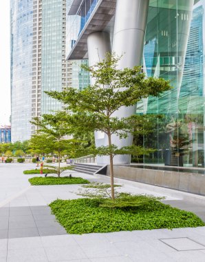 small trees and lawns