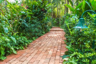 brick path in a tropical garden