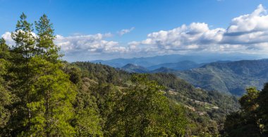 jungle mountains in Kinabalu park.